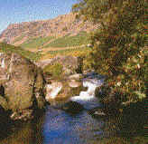 wpe17.jpg (6044 bytes)