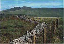 brecon12.jpg (7327 bytes)