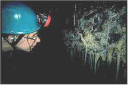 brecon15.jpg (5567 bytes)