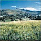 wpeF.jpg (6141 bytes)