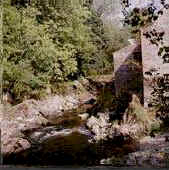 stream