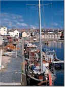 boats